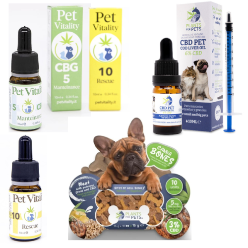 CBD e CBG PER ANIMALI DOMESTICI